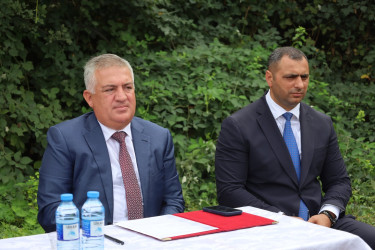 Səyyar qəbullar
