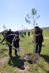 Son keçirilən tədbirlər