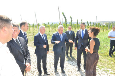 Son keçirilən tədbirlər
