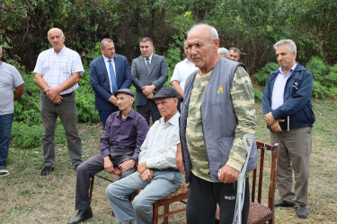Səyyar qəbullar