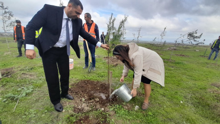 Son keçirilən tədbirlər