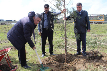 Son keçirilən tədbirlər