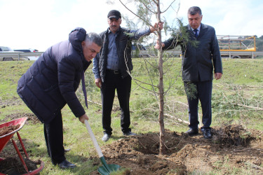 Son keçirilən tədbirlər